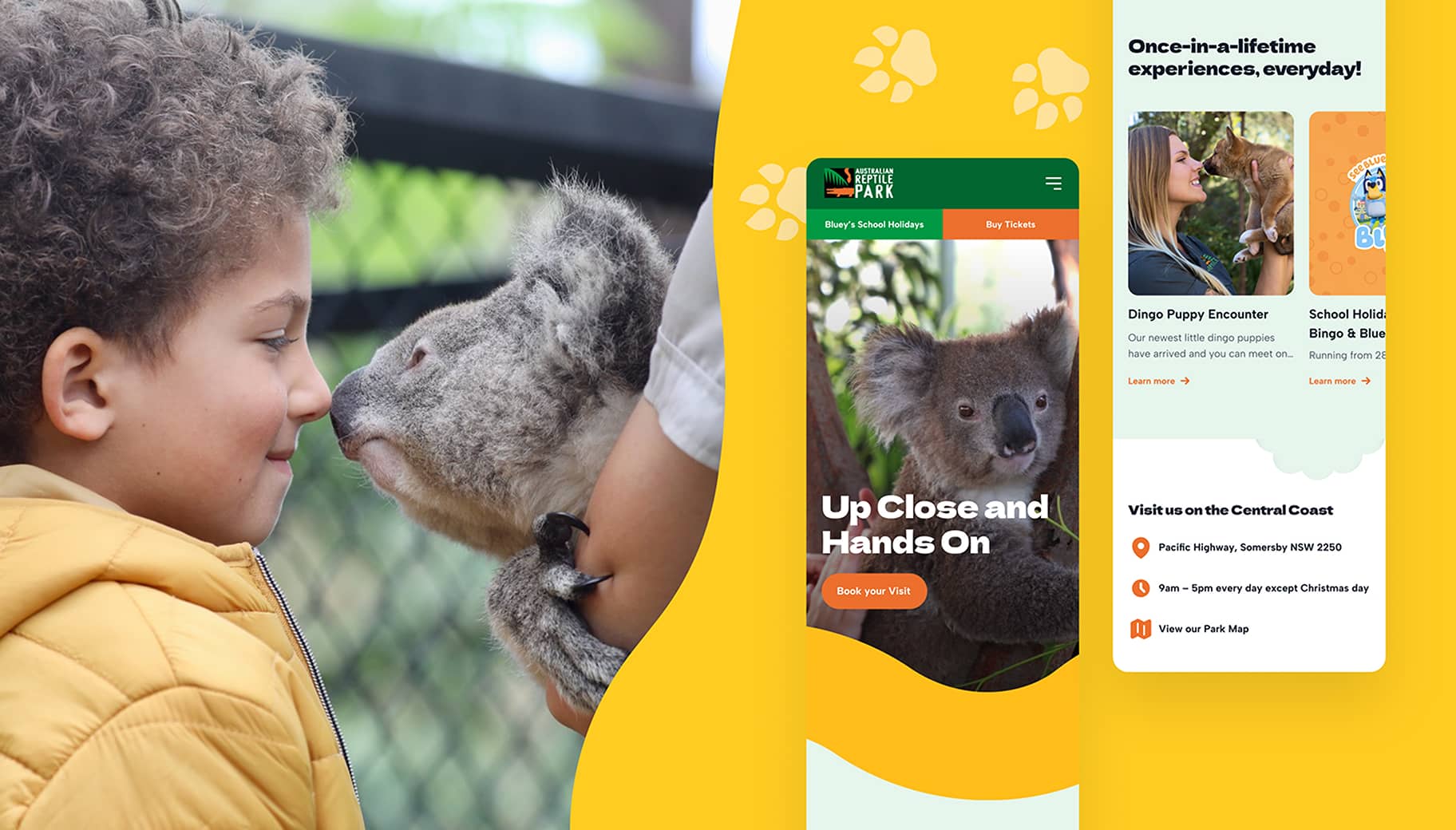 Interactive experience at the Australian Reptile Park, alongside the website experience designed and built by DIJGTAL